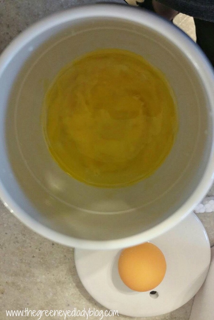 EggTastic5a